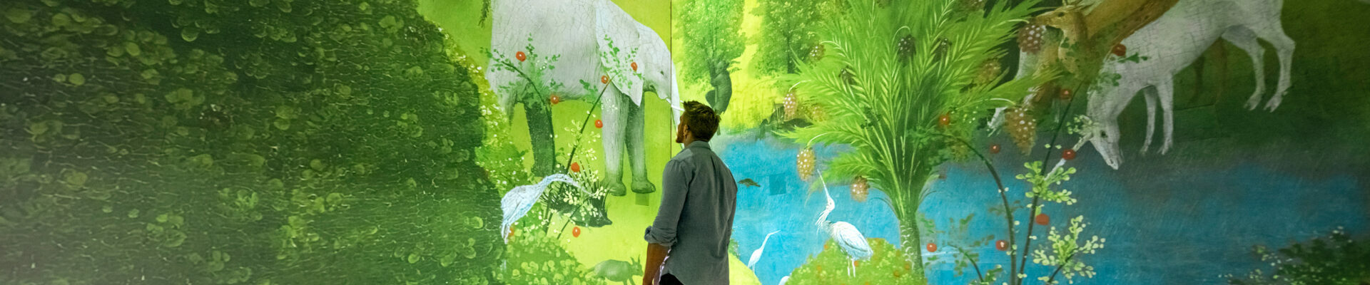Frameless Immersive Art Experience Contact Us