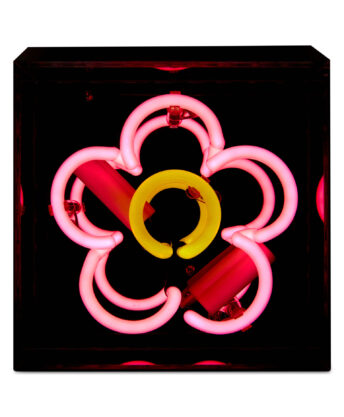 Frameless Immersive Art Experience Gift Shop