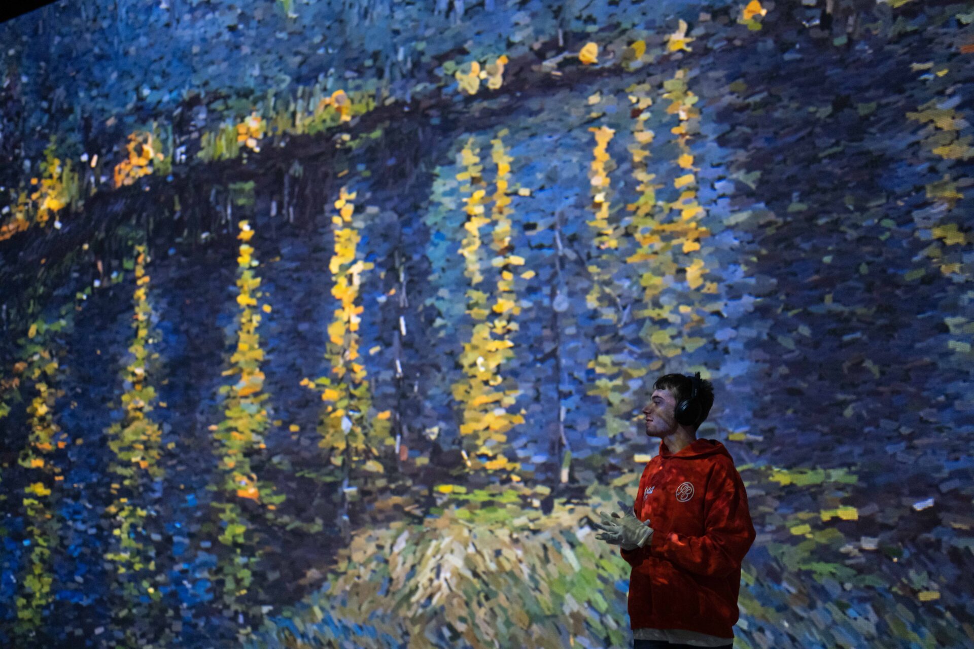 Frameless Immersive Art Experience Sounds