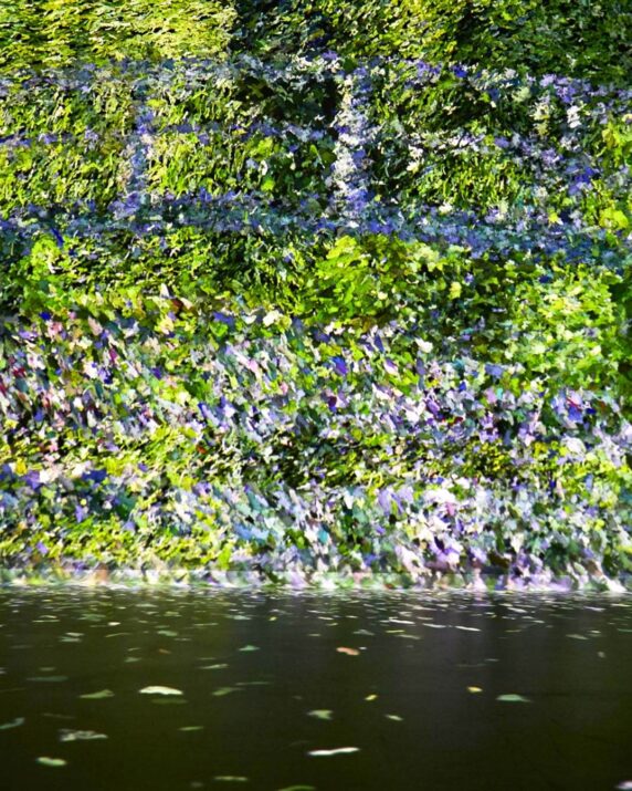 Frameless Immersive Art Experience Colour in Motion