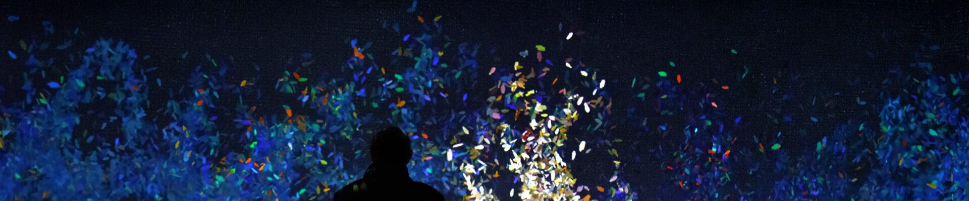 Frameless Immersive Art Experience Whats On