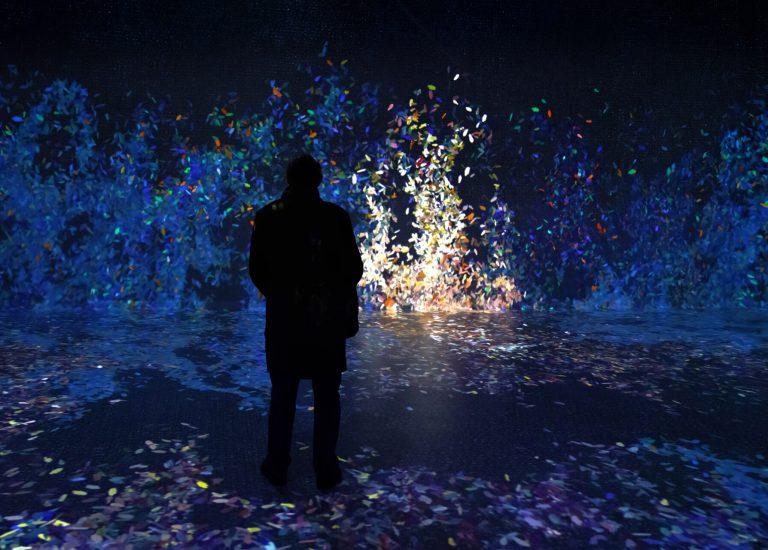 Frameless Immersive Art Experience Whats On