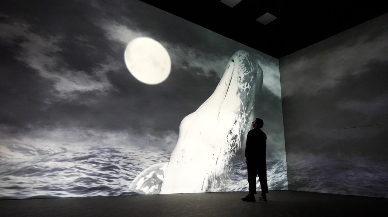 A man standing in front of a projected image of a whale jumping out of the sea by the full moon